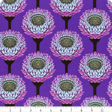 AMT Strawflower - Periwinkle